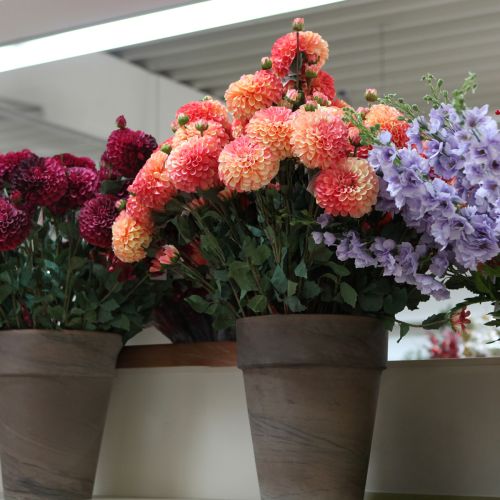 Article Dahlias artificiels rose pêche Ø10cm L80cm 2pcs