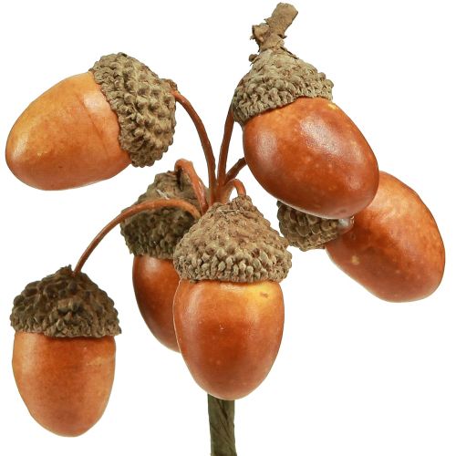 Floristik24 Glands artificiels sur fil de décoration pour couronne d'automne 3cm 6 pcs