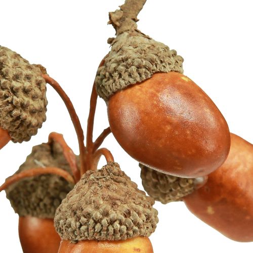 Floristik24 Glands artificiels sur fil de décoration pour couronne d'automne 3cm 6 pcs