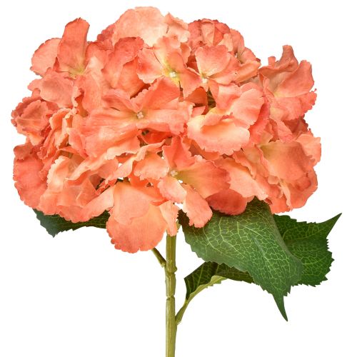 Article Hortensia artificiel Fleur décorative géante saumon Ø23cm L84cm