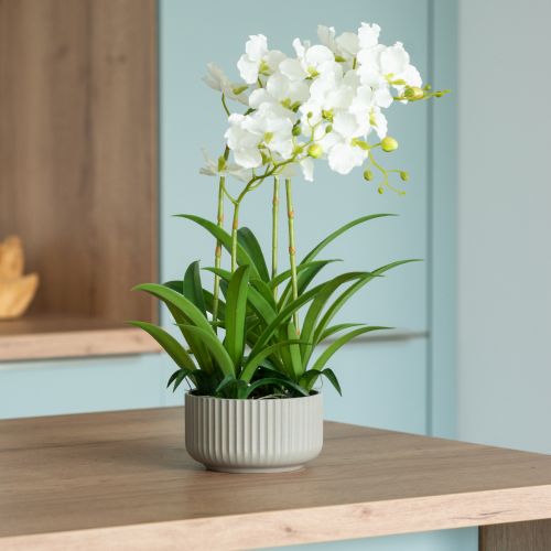 Floristik24 Orchidées artificielles fleurs artificielles en pot blanc 60cm