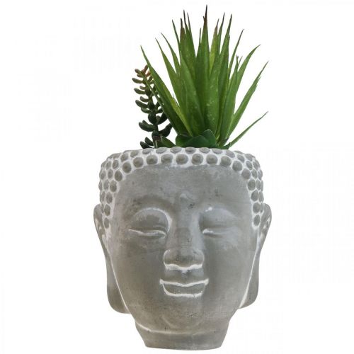 Floristik24 Pot de Fleur Artificielle Succulente Bouddha Ø12cm H25cm