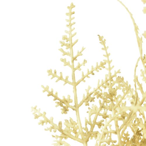 Article Fougère artificielle comme blanchie L34cm 12 pcs 2 bouquet