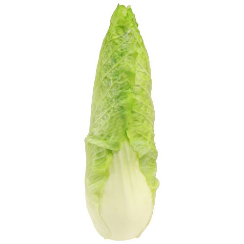 Floristik24 Factice alimentaire chou pointu artificiel Ø5cm H18cm