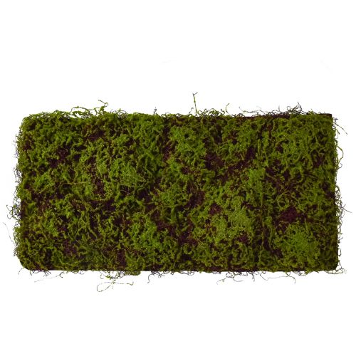 Mousse Artificielle Grand Tapis de Mousse Marron Vert 100×50cm