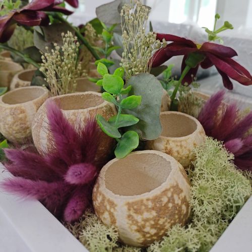 Article Citrouille déco naturelle Séchée Blanchie 5-6cm 50 pièces