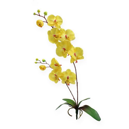 Floristik24 Orchidée artificielle jaune 68cm