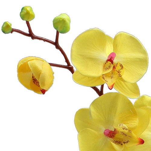 Article Orchidée artificielle jaune 68cm