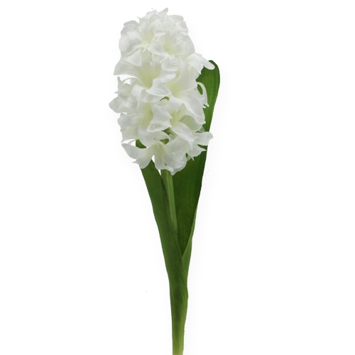 Floristik24 Jacinthe de fleurs en soie blanc 33cm