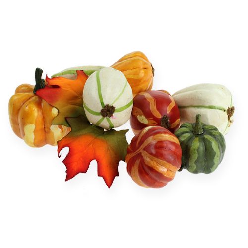 Mélange de citrouille coloré 12pcs | Floristik24.fr