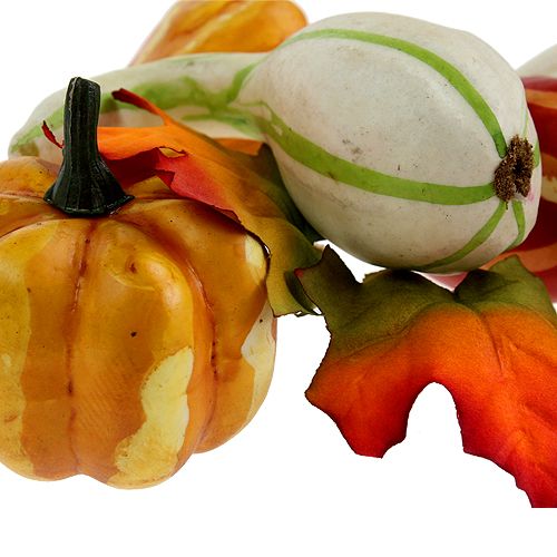 Mélange de citrouille coloré 12pcs | Floristik24.fr