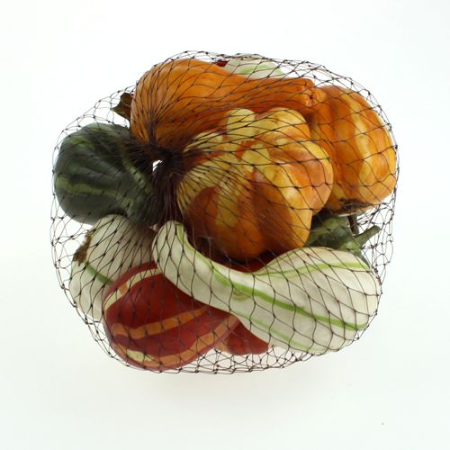Mélange de citrouille coloré 12pcs | Floristik24.fr