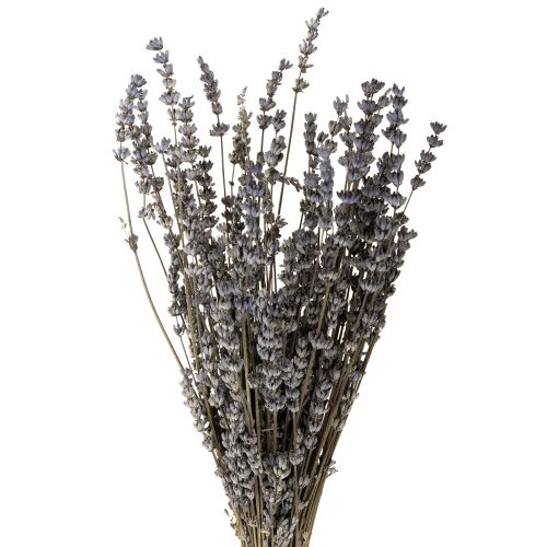 Fleurs séchées parfumées de lavande 35-40 cm 50 g