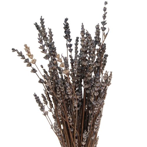 Article Fleurs séchées parfumées de lavande 35-40cm 50g