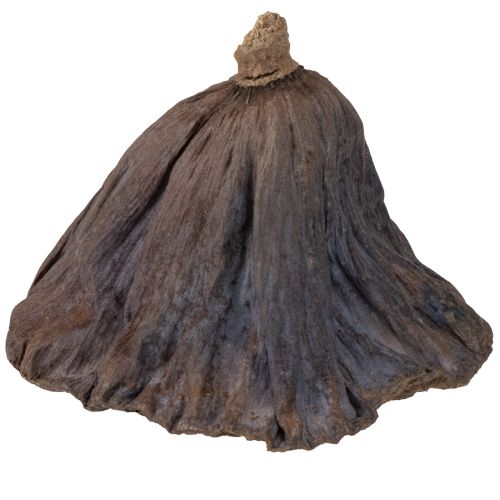 Article Bulbe de lotus grand 100 pcs naturel