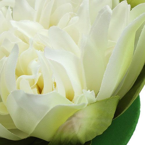 Floristik24 Crème de fleur de lotus artificielle 13cm 4pcs