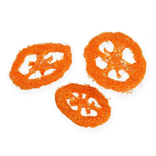 Floristik24 Tranches de luffa orange 25 pcs