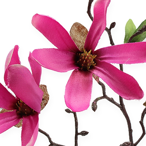 Floristik24 Branche de magnolia fuchsia 40 cm 4 p.