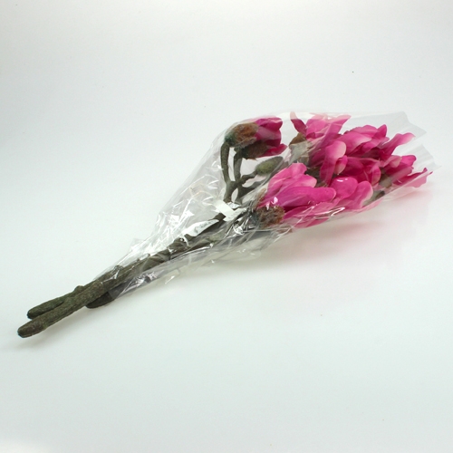 Floristik24 Branche de magnolia 45 cm 3 p.