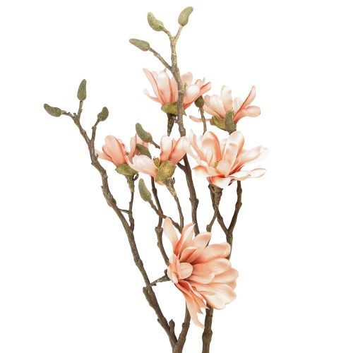 Floristik24 Branche de magnolia avec 6 fleurs Magnolia artificiel saumon 84cm