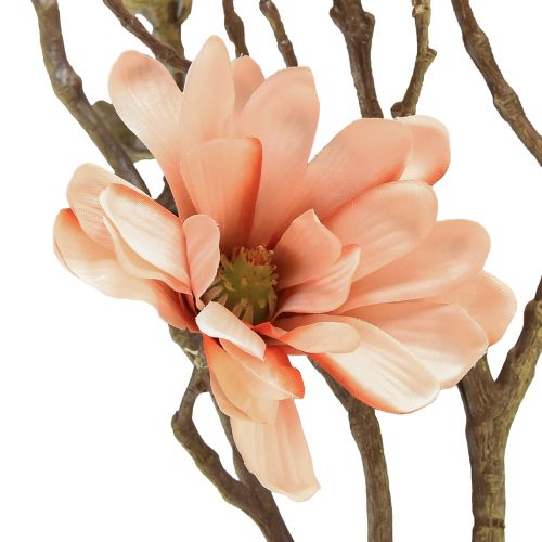 Floristik24 Branche de magnolia avec 6 fleurs Magnolia artificiel saumon 84cm
