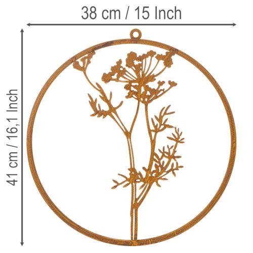 Anneau en métal rouillé, anneau décoratif, décoration murale, brin d'aneth, Ø38cm | Floristik24.fr