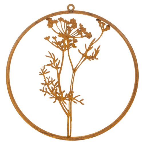 Anneau en métal rouillé, anneau décoratif, décoration murale, brin d'aneth, Ø38cm | Floristik24.fr