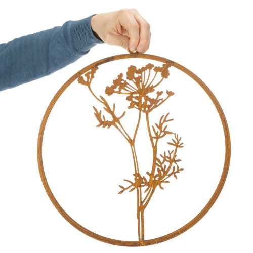 Anneau en métal rouillé, anneau décoratif, décoration murale, brin d'aneth, Ø38cm | Floristik24.fr