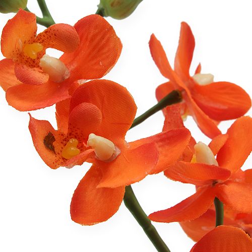 Floristik24 Mini Orchidée Real Touch Orange 35cm