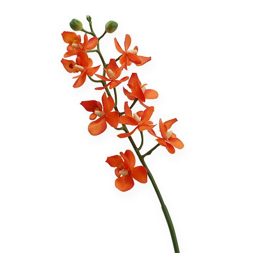 Floristik24 Mini Orchidée Real Touch Orange 35cm