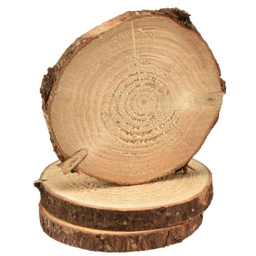 Article Mini disque d&#39;arbre avec écorce décoration bois naturel Ø8-9cm 9pcs