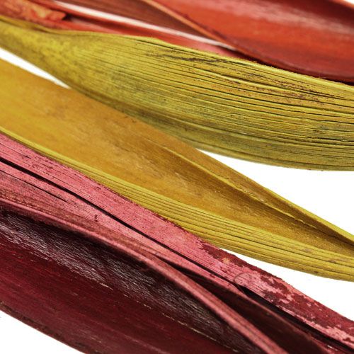 Floristik24 Feuille de coco mini âne tricolore. 0,5 kg