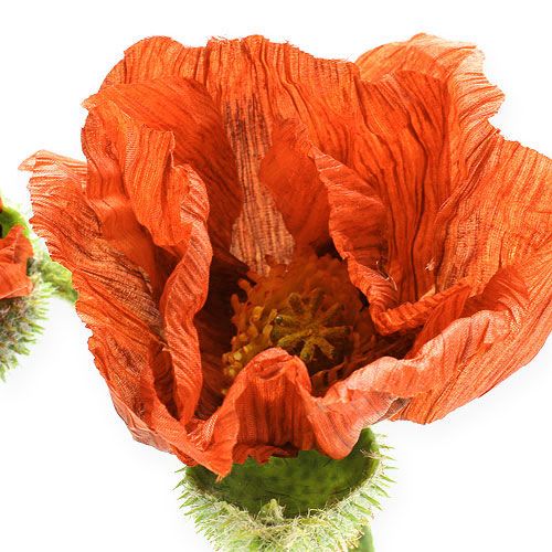 Floristik24 Fleur de coquelicot orange 68 cm 2 p.