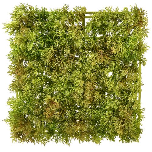 Article Tapis de mousse artificielle – parfait pour l&#39;image de mousse vert clair 25×25cm