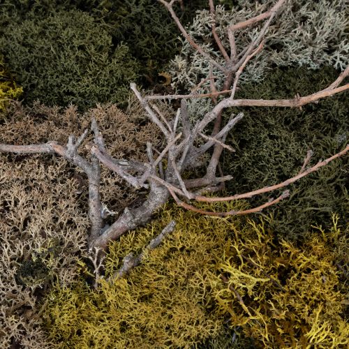 Article Tableau de mousse, véritable mousse et brindilles préservées, naturel, 60×40 cm