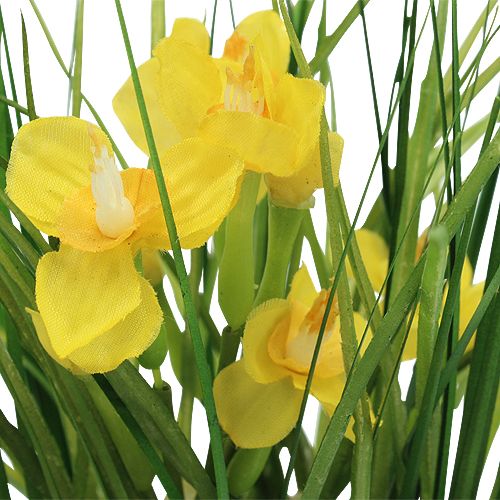 Article Narcisse jaune en pot avec herbe 25 cm
