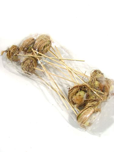 Floristik24 Nid d'oiseau avec oeufs sur la barre 6cm 6pcs