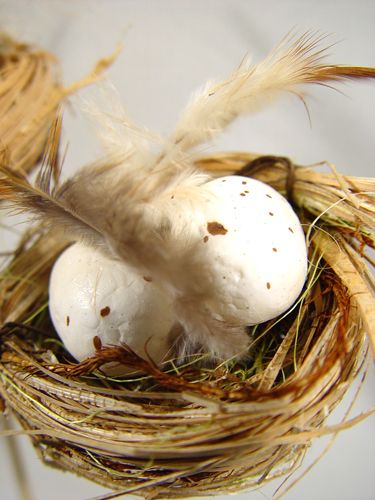 Floristik24 Nid d'oiseau avec oeufs sur la barre 6cm 6pcs