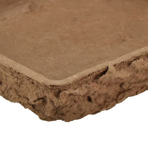 Article Oasis Biolit Support pour ½ brique mousse florale 13×13×2cm 12pcs