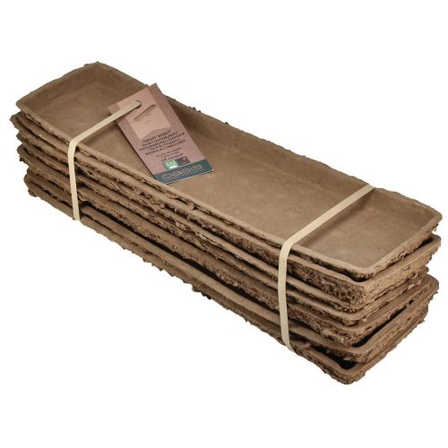Article Oasis Biolit Support 2 briques mousse florale 48×13×2cm 7pcs
