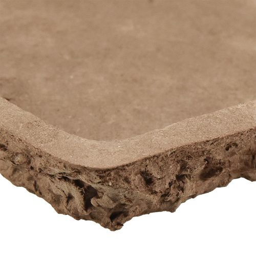 Article Support Oasis Biolit briques en mousse florale 25×14×2cm 11pcs
