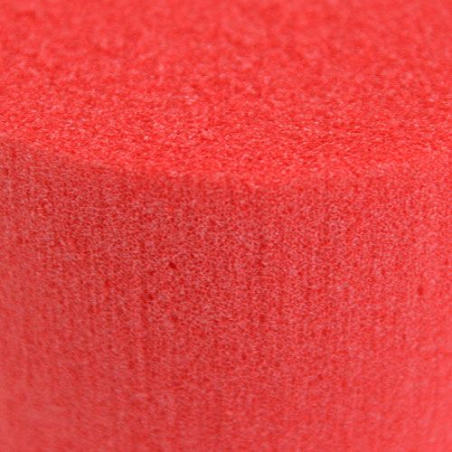 Floristik24 Mousse à piquer cylindree diam. 8cm rouge 6 piècess