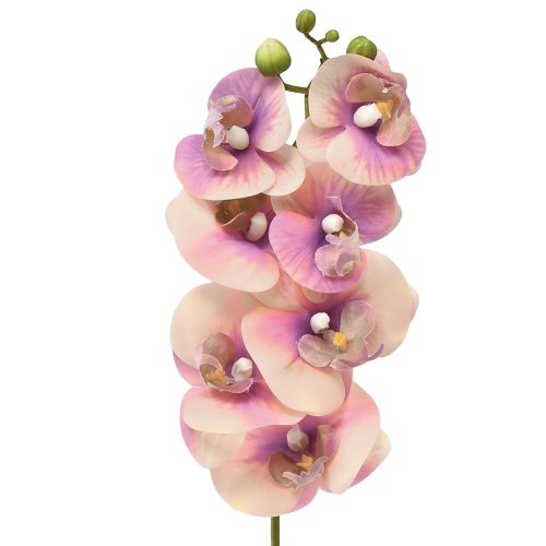 Article Orchidée Phalaenopsis artificielle 7 fleurs violet crème 73cm