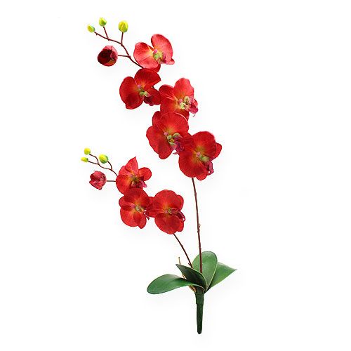 Floristik24 Déco orchidée rouge 68cm