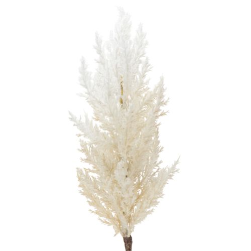 Floristik24 Herbe de la pampa blanche, herbes séchées artificielles, plantes artificielles