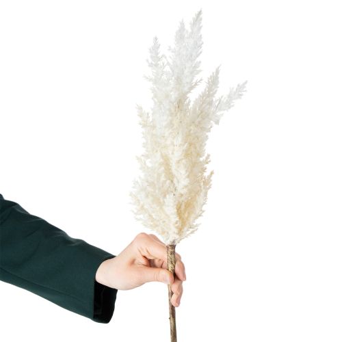 Article Herbe de la pampa blanche, herbes séchées artificielles, plantes artificielles