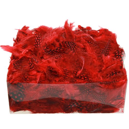 Article Plumes de pintade Faraona 30g rouge