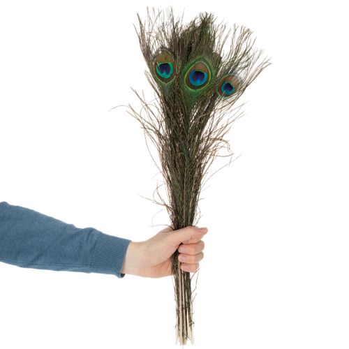 Article Plumes de paon, véritables plumes d'oiseau pour loisirs créatifs et décoration, 55 cm, lot de 10.