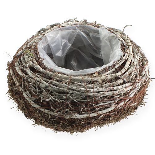 Coupelle à plantes Ø 18 cm