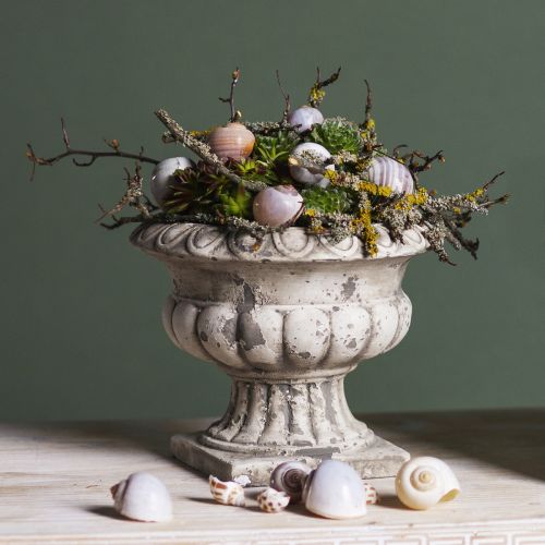 Floristik24 Bol à plantes petit cache-pot trophée béton antique Ø15cm H13cm